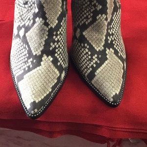 Steve Madden ankle boots